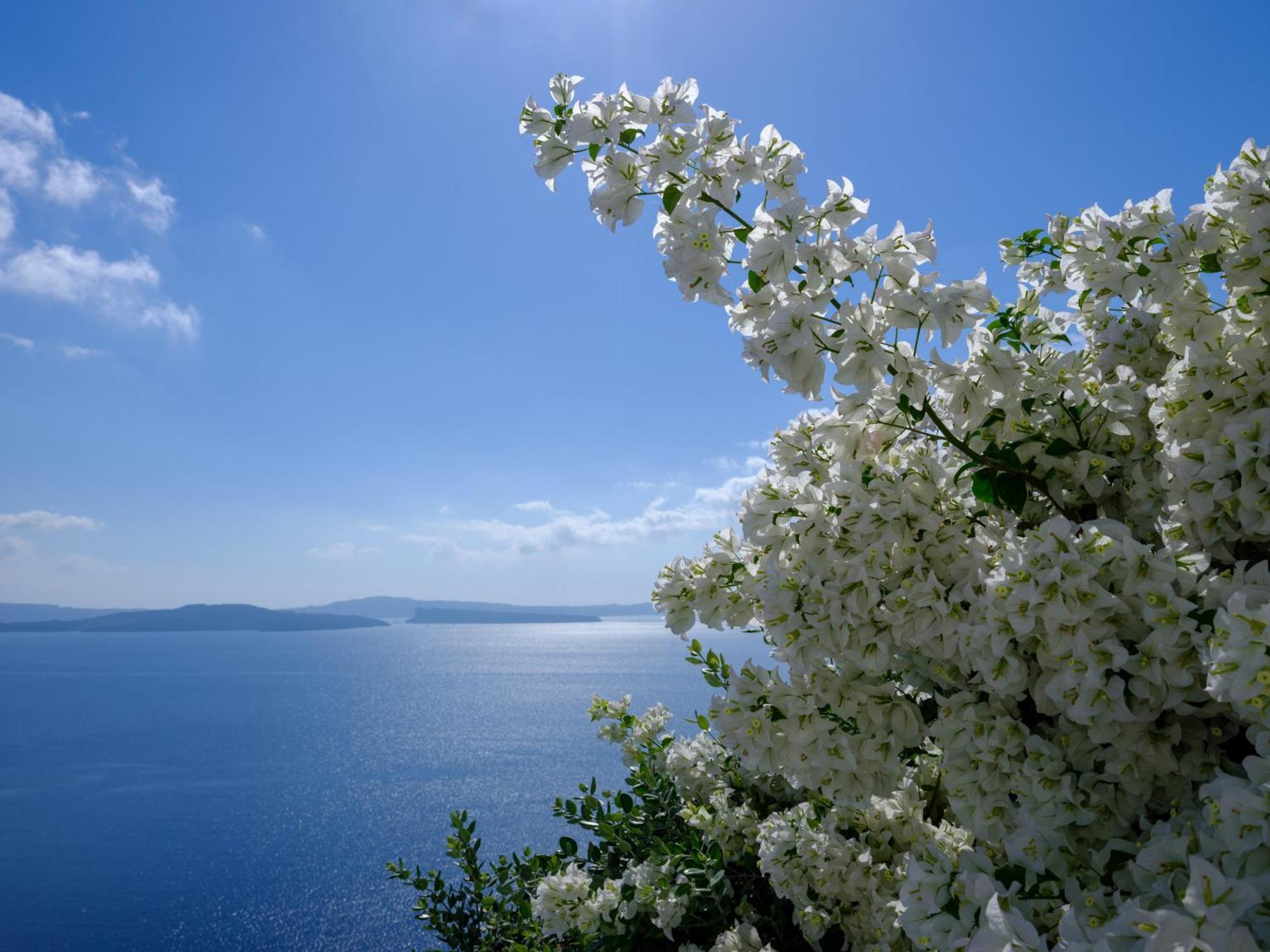 Thirea Suites Oia  Bagian luar foto